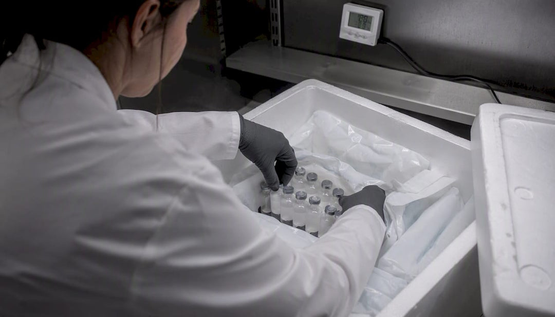 Hands packing peptide vials with cooling gel packs