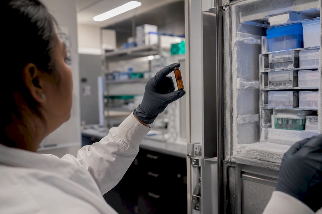 Hands placing peptide vial into ultra-low freezer