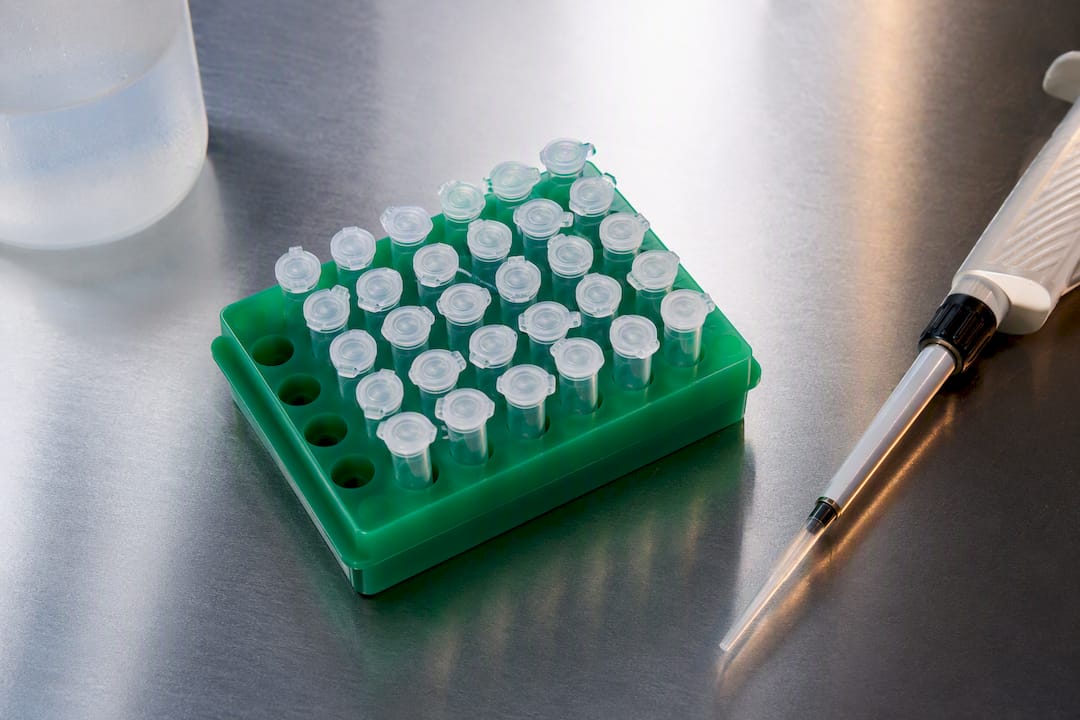 Organized peptide aliquoting workspace with microtube rack